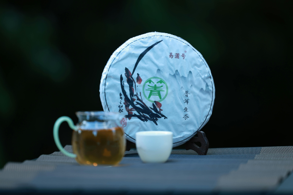 Le Pu-erh : un thé vivant qui évolue avec le temps